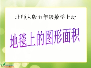 北师大版数学五年级上册《地毯上的图形面积》PPT课件
