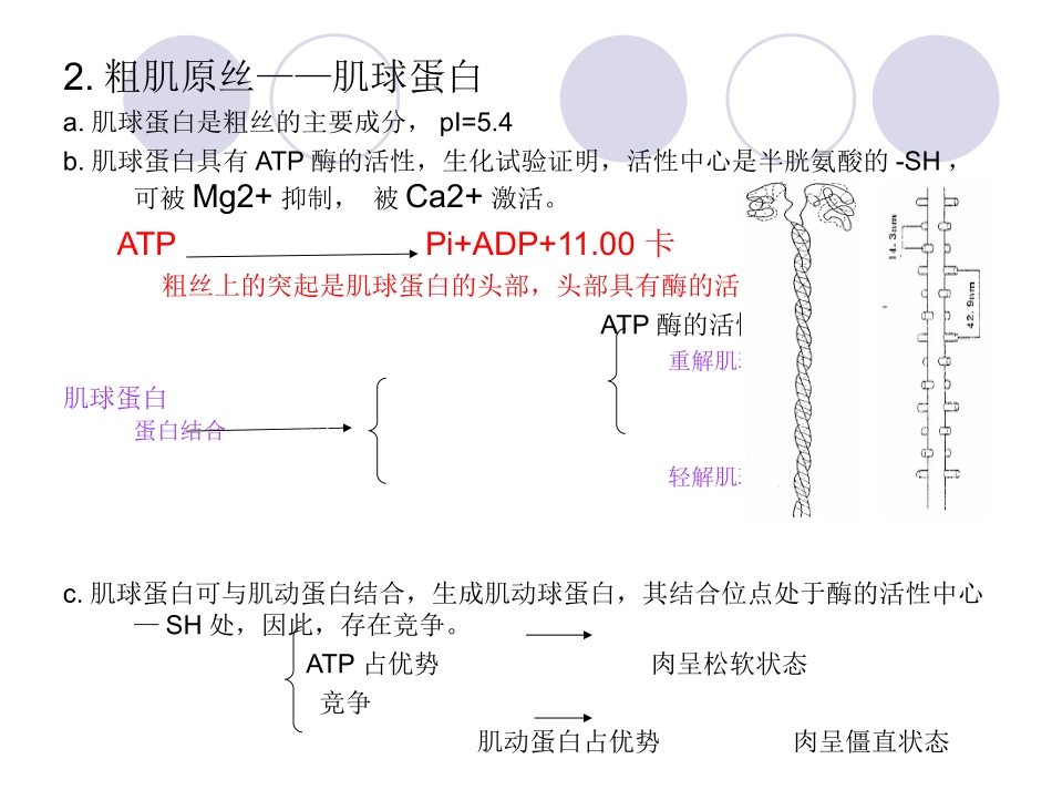 第四章 屠宰后肉的变化_第3页