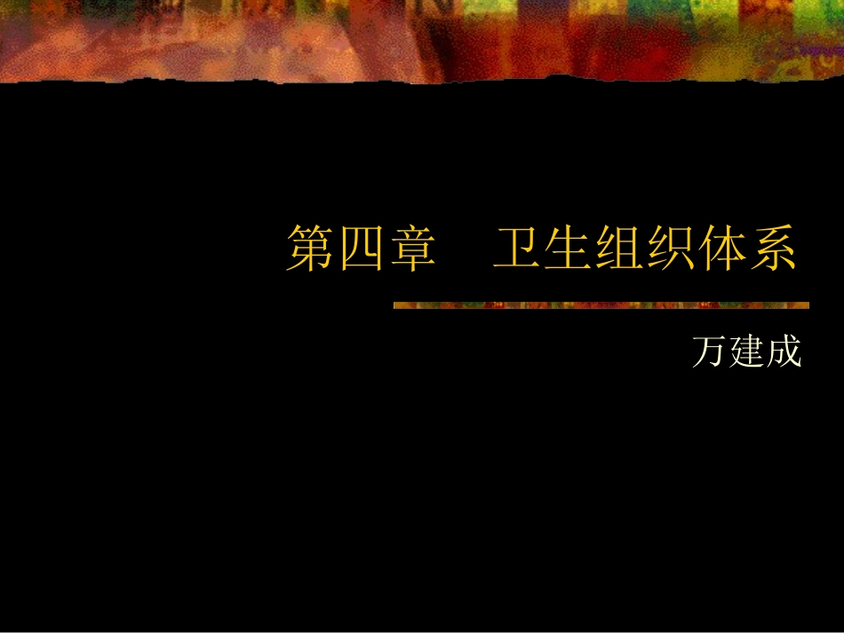 第四章 卫生组织体系_第1页