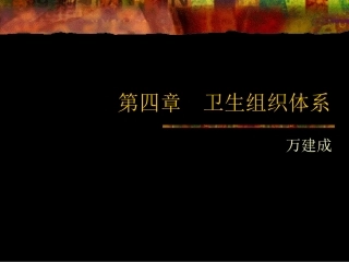 第四章 卫生组织体系