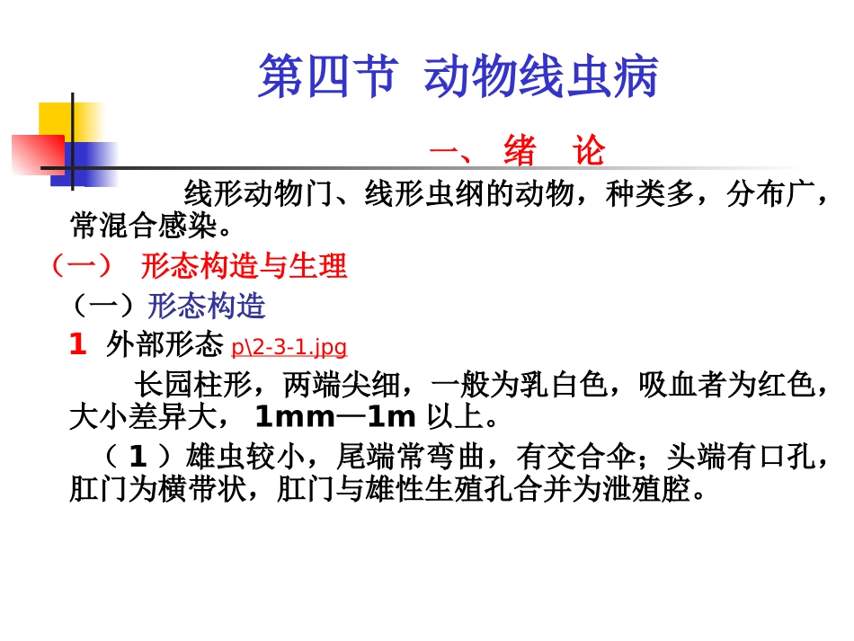 第四章  动物蠕虫病学-线虫_第1页