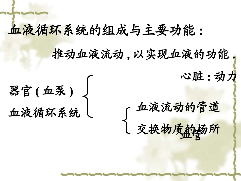 第四章   血 液 循环_第3页