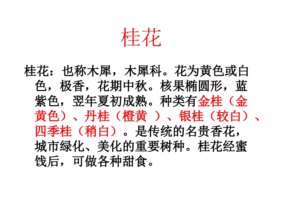 桂花雨课件1_第3页
