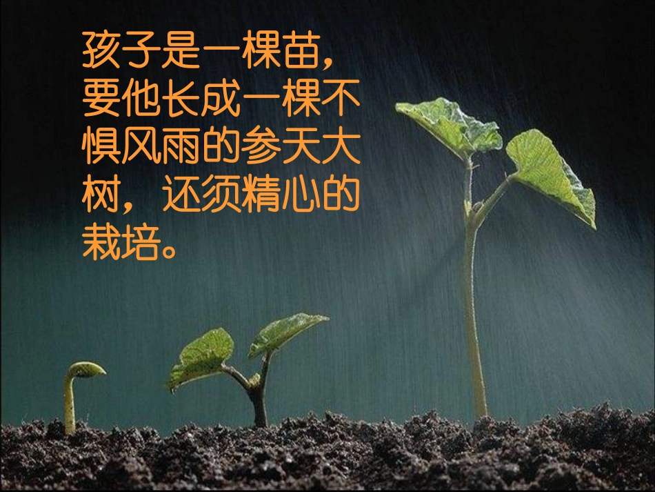 六年级毕业班家长会_第3页