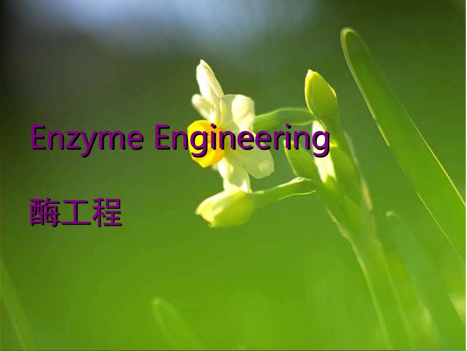 第十章 酶的工业化应用_第1页