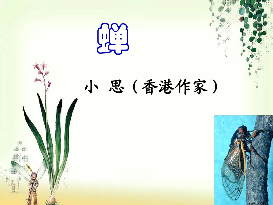 短文两篇new_第2页