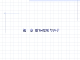 第十章 财务控制