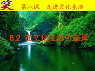 在文化生活中选择