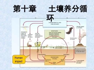 第十章 土壤养分循环