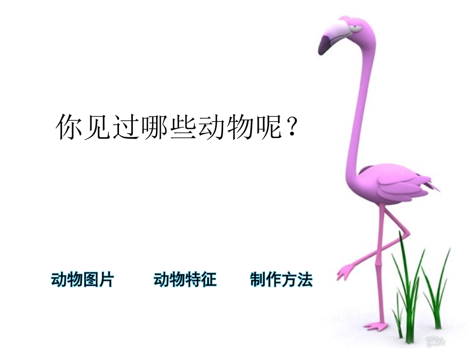 《动物乐园》人美版PPT_第2页