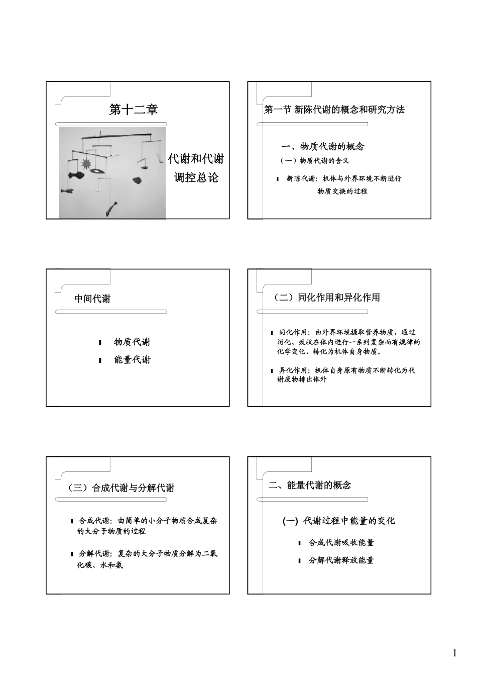 第十章 代谢和代谢调控总论_第1页