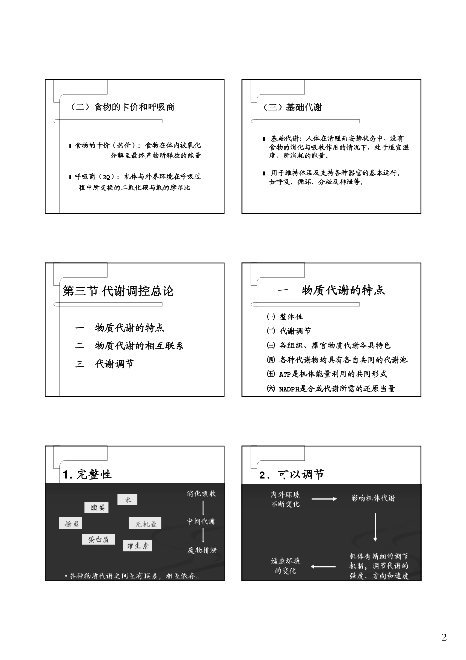 第十章 代谢和代谢调控总论_第2页
