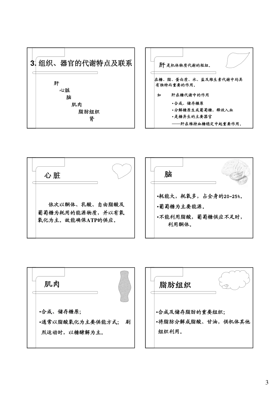 第十章 代谢和代谢调控总论_第3页