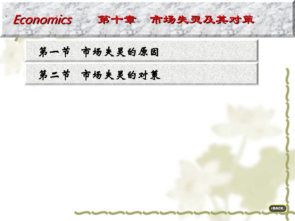 第十章  微观经济学_第1页