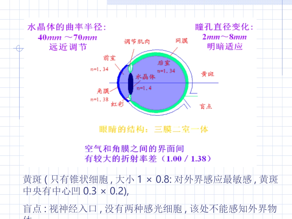 第十四章   眼睛_第2页