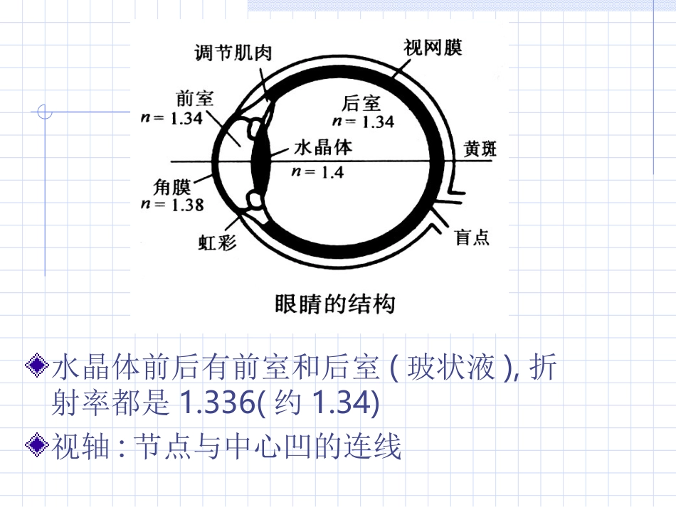 第十四章   眼睛_第3页
