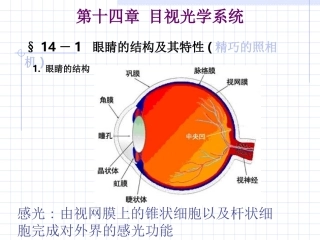 第十四章   眼睛