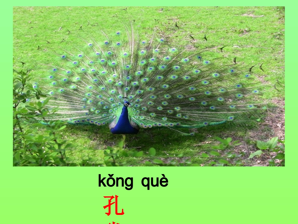 二年级语文上册识字七课件 (3)_第2页