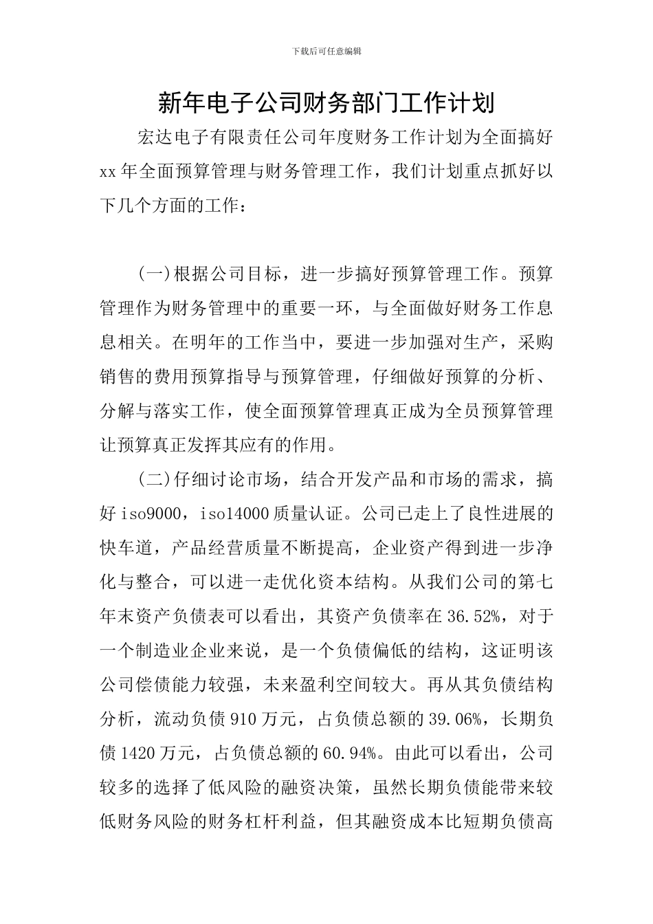 新年电子公司财务部门工作计划_第1页