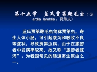 第十五节 蓝氏贾第鞭毛虫