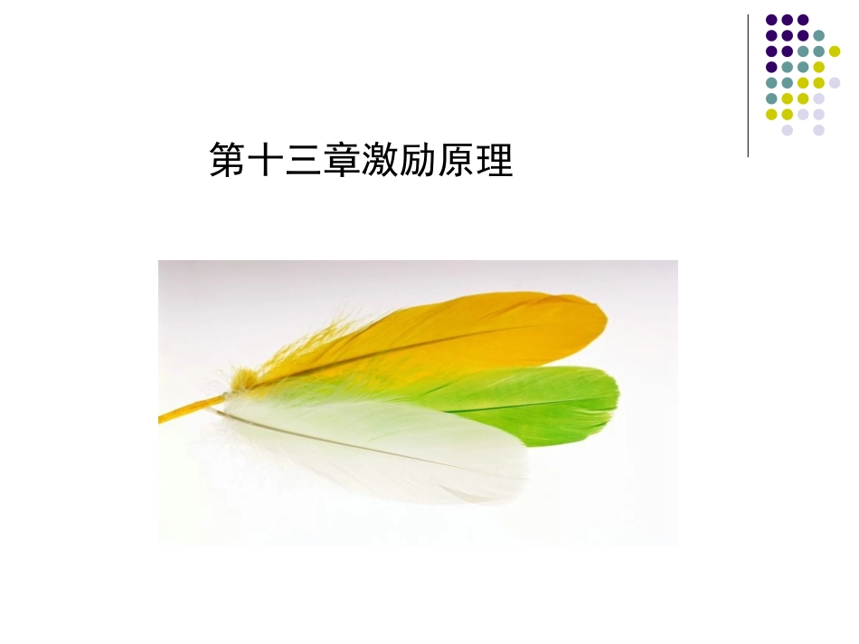 第十三章激励原理_第1页