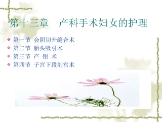 第十三章  产科手术