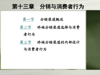 第十三章  分销与消费者行为