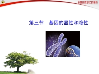 基因显性隐性