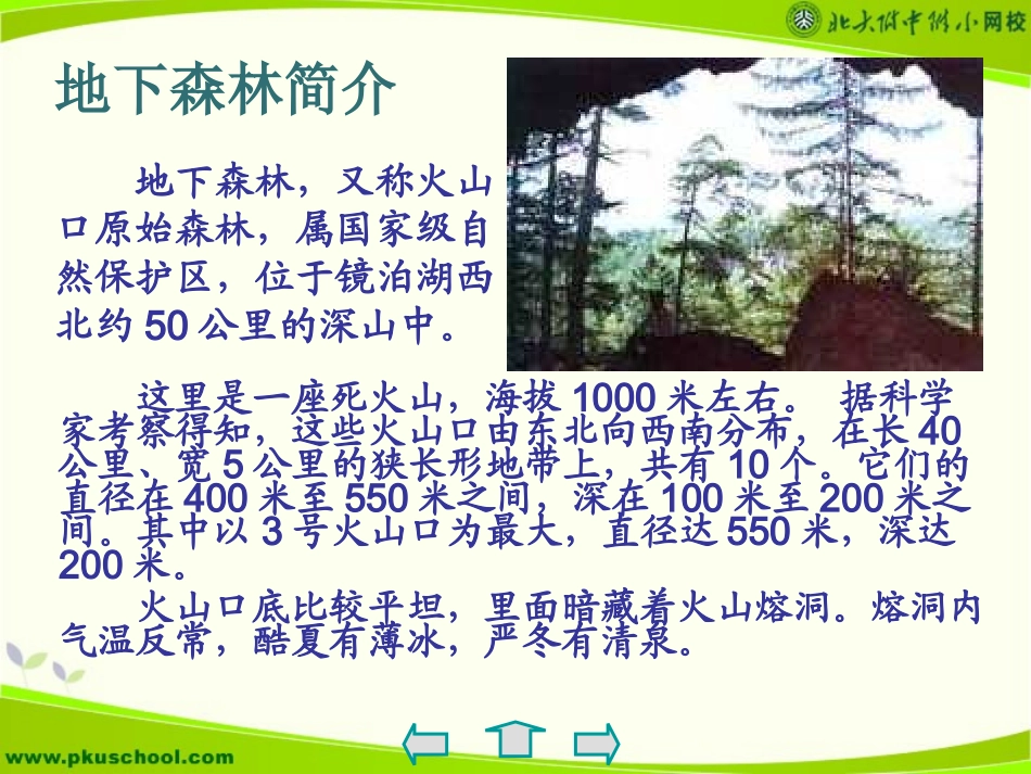 九年级语文地下森林断想10_第3页