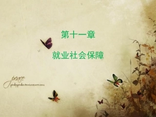 第十一章就业社会保障