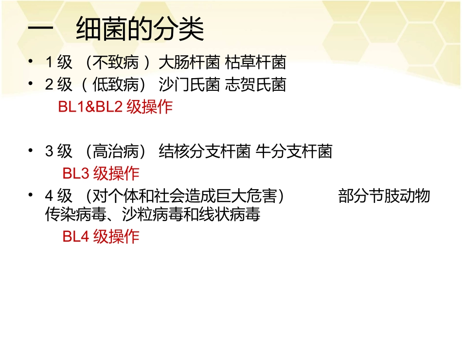 第十一章 细菌_第3页