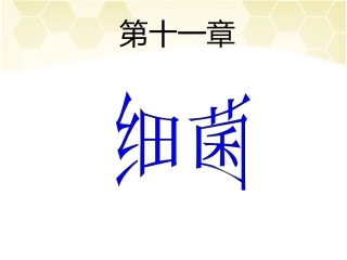 第十一章 细菌