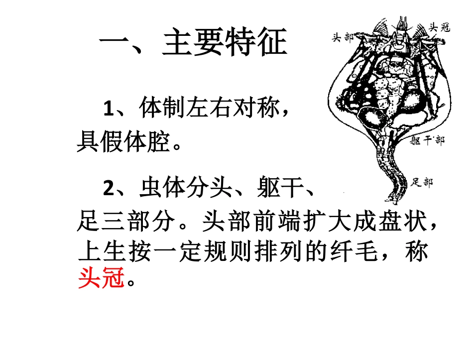 第六章轮虫动物_第2页