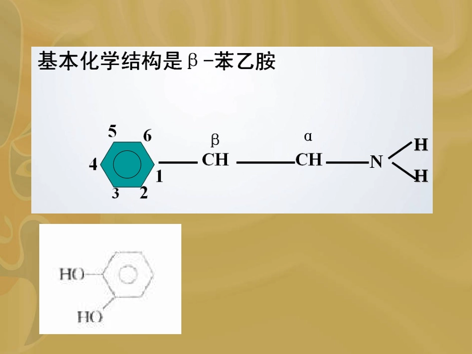 第六章(1) 肾上腺素受体激动药_第2页