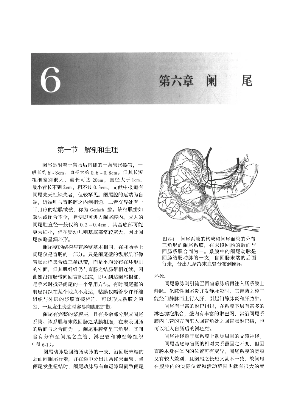 第六章 阑尾_第1页