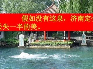 趵突泉贺小芳