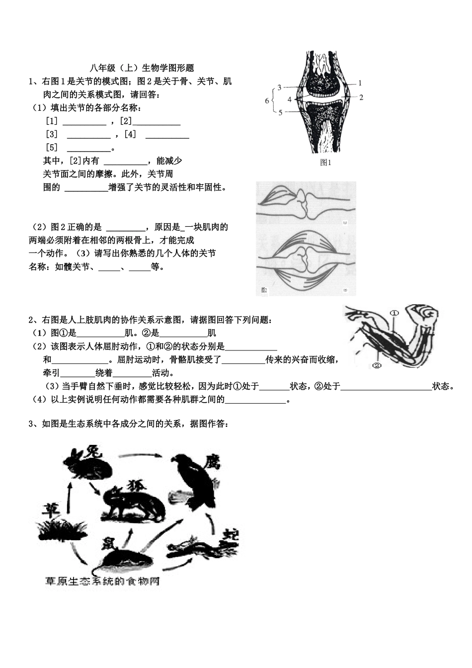 八年级上总复习图形题_第1页