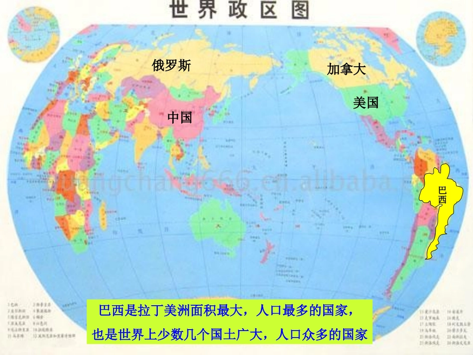郑菊鲜巴西(全1)_第3页