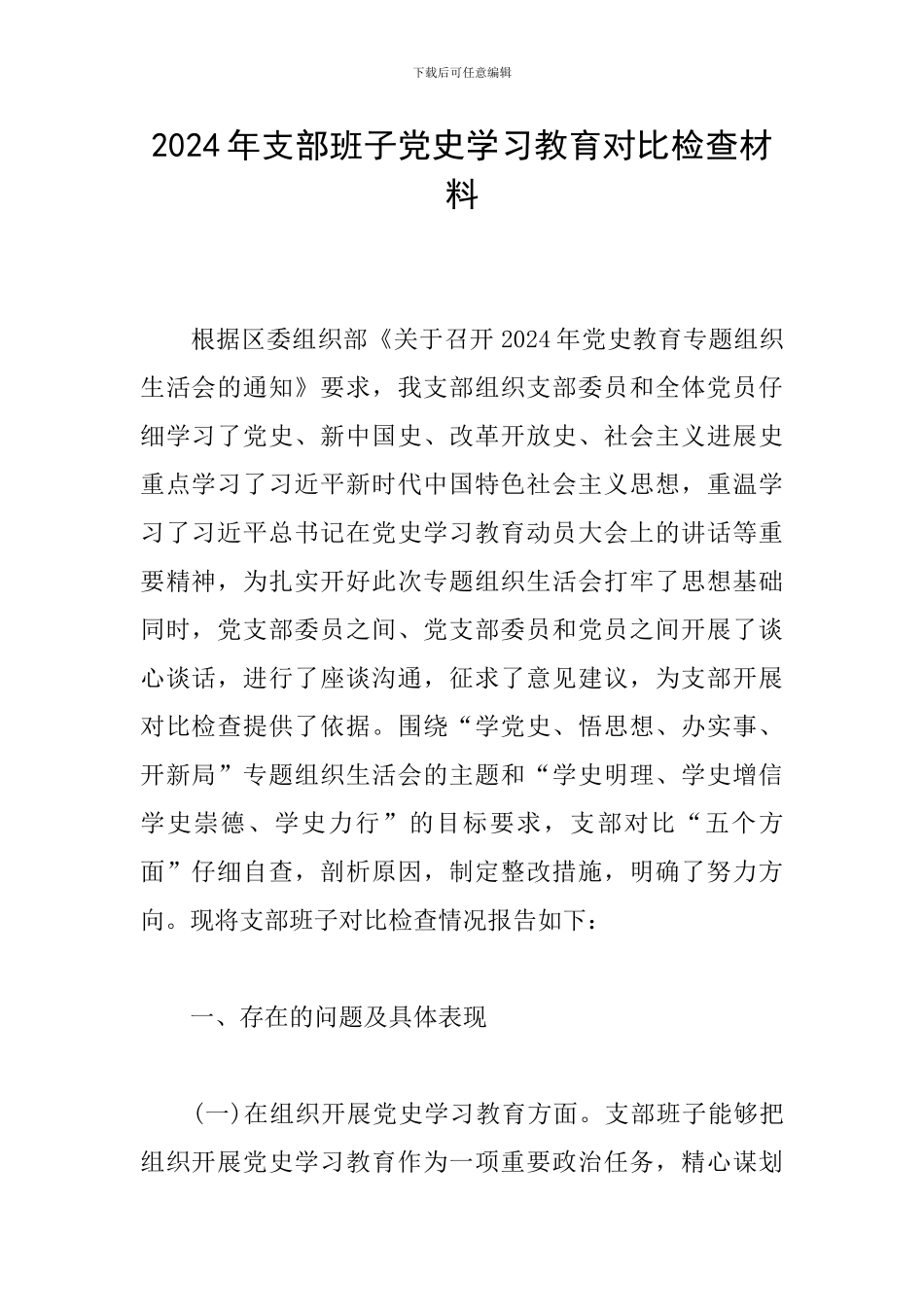 2024年支部班子党史学习教育对照检查材料_第1页