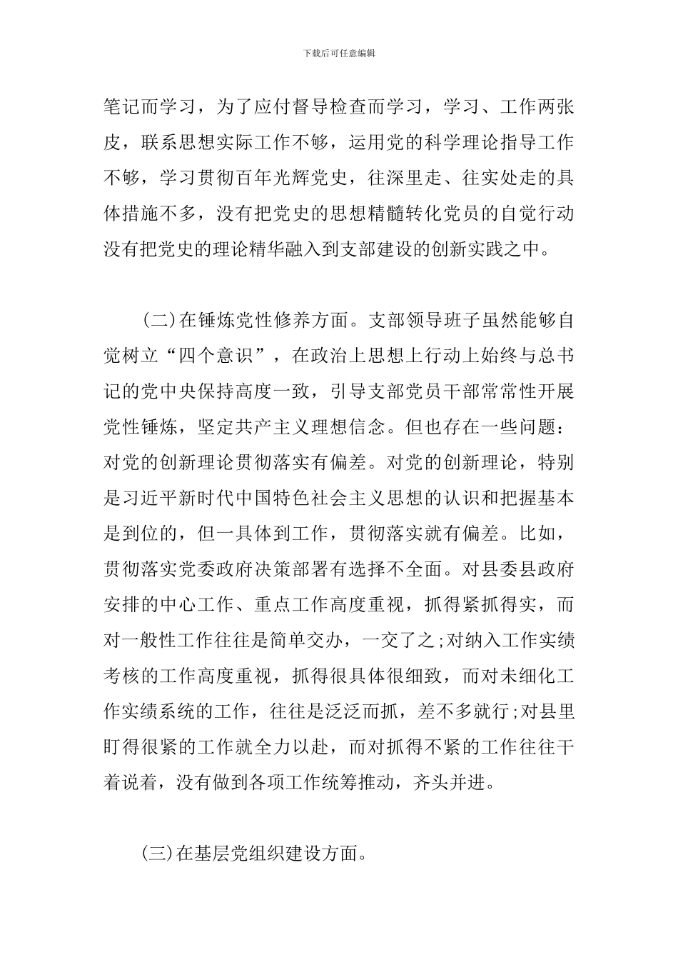 2024年支部班子党史学习教育对照检查材料_第3页