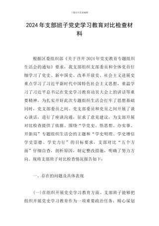 2024年支部班子党史学习教育对照检查材料