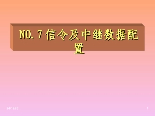 第六章 NO.7中继数据配置