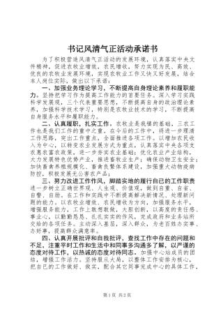 书记风清气正活动承诺书