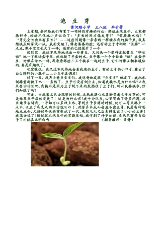 泡豆芽李云蕾