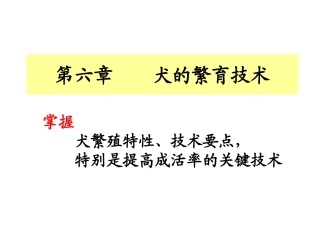第六章    犬的繁育技术
