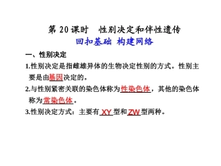 第六单元  第20课时