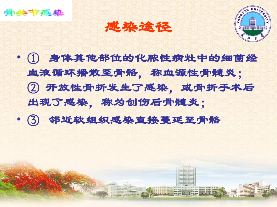 第六十九章 骨与关节化脓性感染_第3页