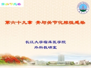 第六十九章 骨与关节化脓性感染