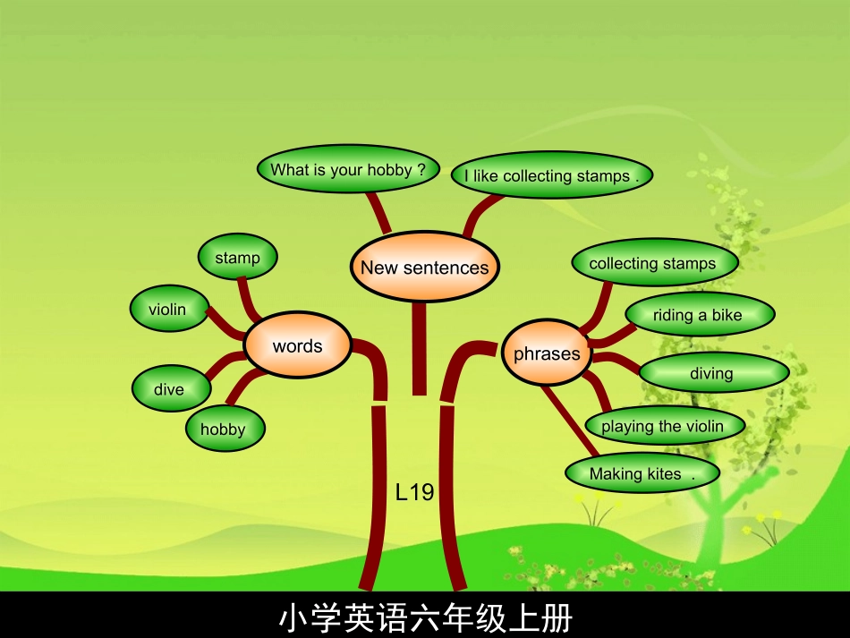 六年级英语知识结构图_第3页