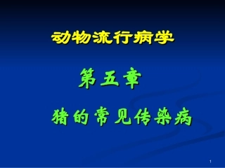 第五章猪常见传染病